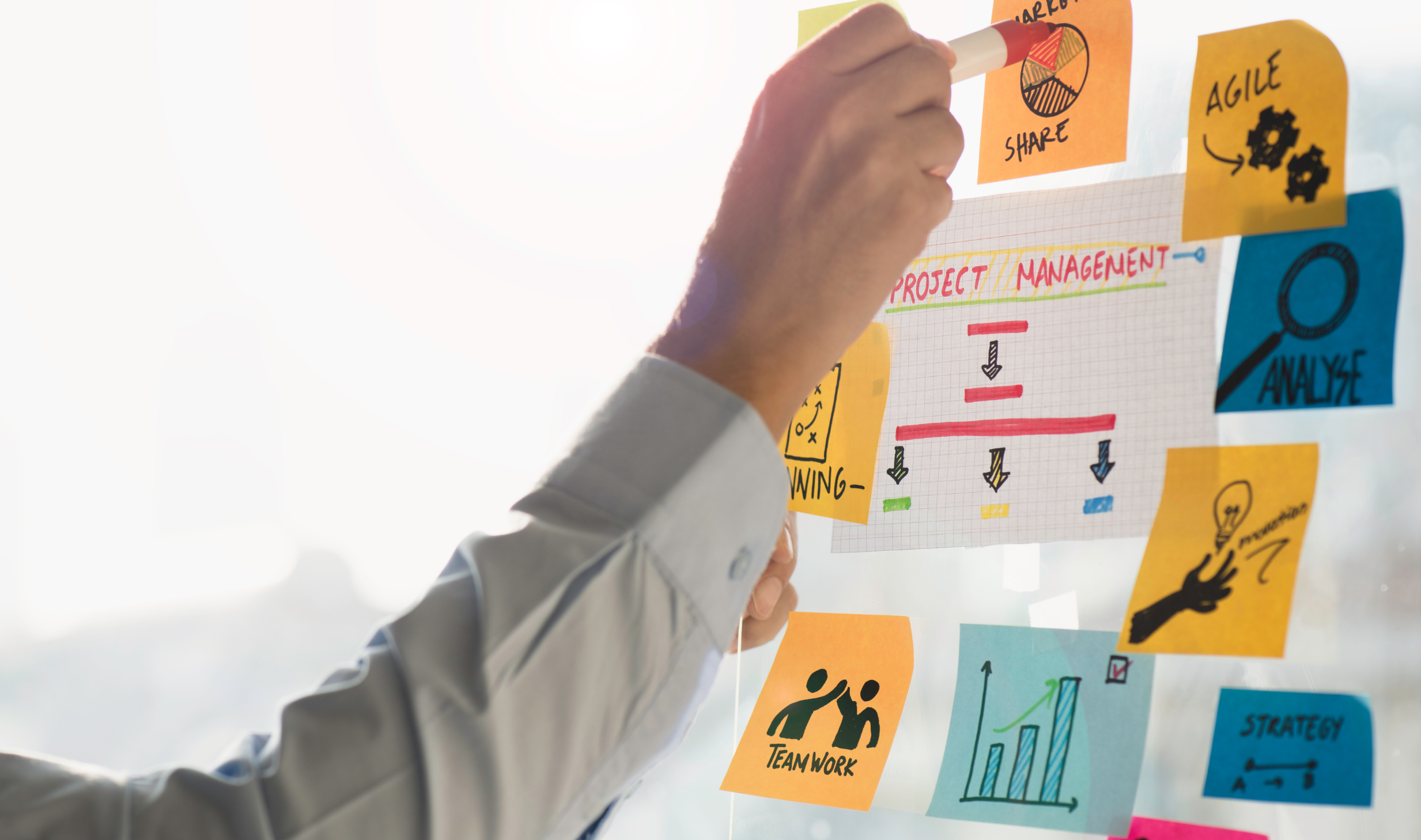 Image La filière Management² / Gestion / Ressources Humaines